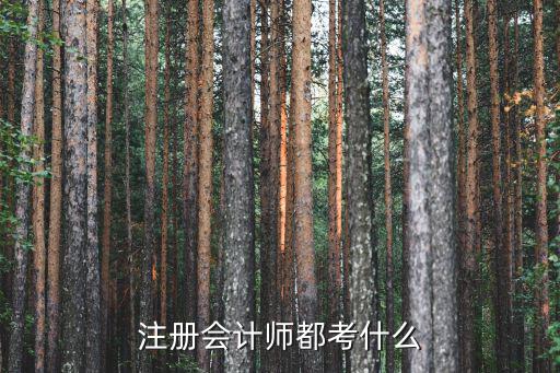 注册会计师都考什么