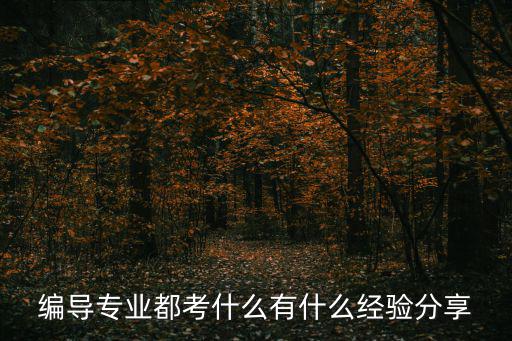编导一般考什么,编导专业都考什么
