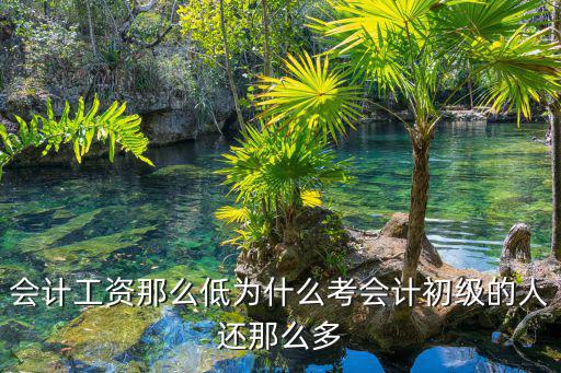为什么那么多人考会计,为什么学会计