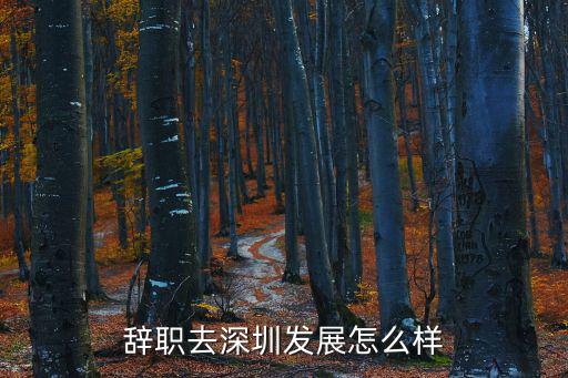 深圳言道怎么样,深圳富士康怎么样