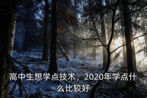 高中生想学点技术，2020年学点什么比较好