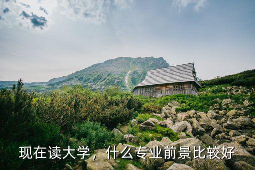 现在读大学，什么专业前景比较好