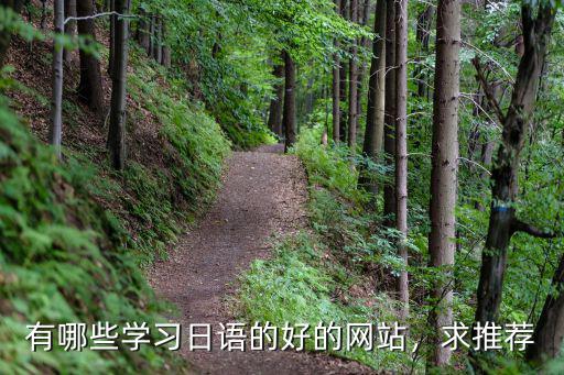 有哪些学习日语的好的网站，求推荐
