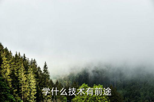大学学什么有前途,学什么技术有前途