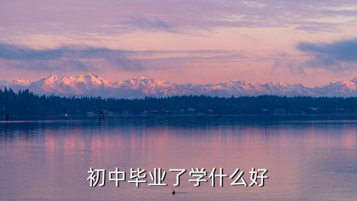 初中毕业学什么设计好,初中毕业学设计