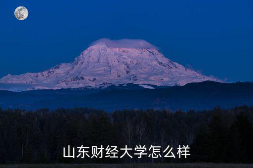 山东财经大学怎么样