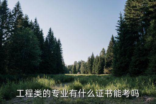 现在考什么专业资格证书吗,设计专业考什么证书好呢