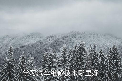 学汽车维修去哪里学,学汽修去哪里学