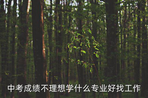 中考成绩不理想学什么专业好找工作