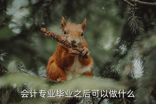 考上会计证可以做什么,有会计初级证