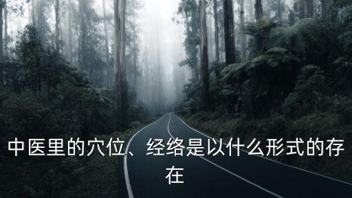 中医里的穴位、经络是以什么形式的存在