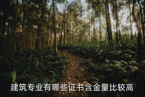 建筑专业有哪些证书含金量比较高
