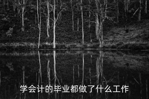 学会计的毕业都做了什么工作