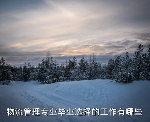 物流管理专业毕业选择的工作有哪些