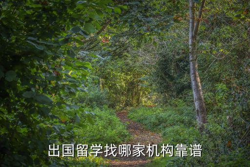 什么是留学机构好,一个好的留学机构是什么样的