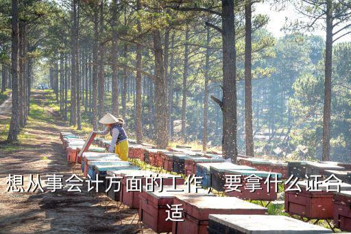 想从事会计方面的工作，要拿什么证合适