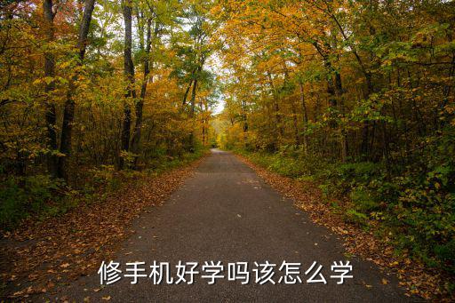 上海学修手机哪里学,学手机维修有前途吗