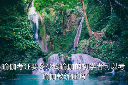 瑜伽考证要多少钱瑜伽的初学者可以考瑜伽教练证吗