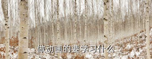 做动画的要学习什么
