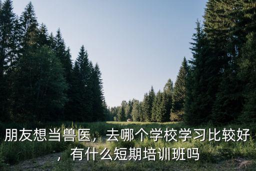 兽医学校去哪里,去哪个学校学习比较好