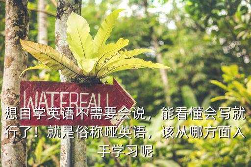 想自学英语不需要会说，能看懂会写就行了！就是俗称哑英语，该从哪方面入手学习呢