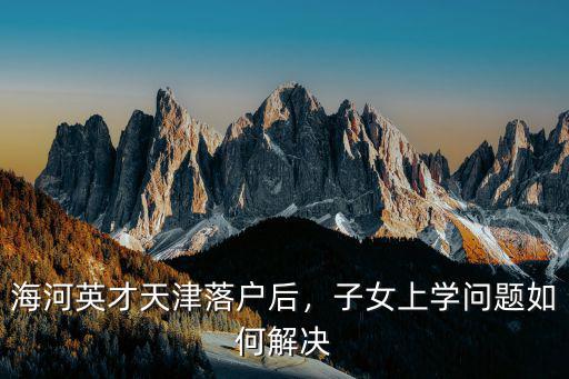 海河英才天津落户后，子女上学问题如何解决