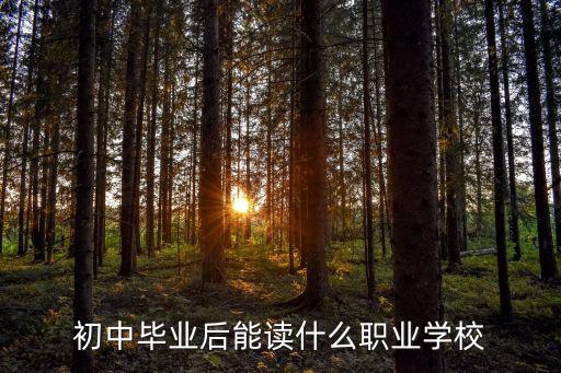 初中毕业后能读什么职业学校