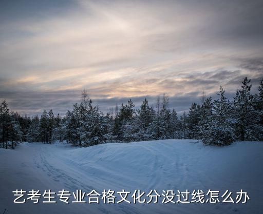 艺考生专业合格文化分没过线怎么办