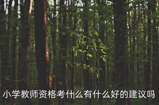 小学教师资格考什么有什么好的建议吗