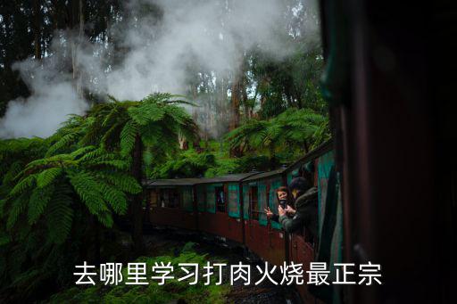 打火烧哪里学,去哪里学习打肉火烧最正宗