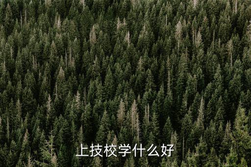 上技校学什么好