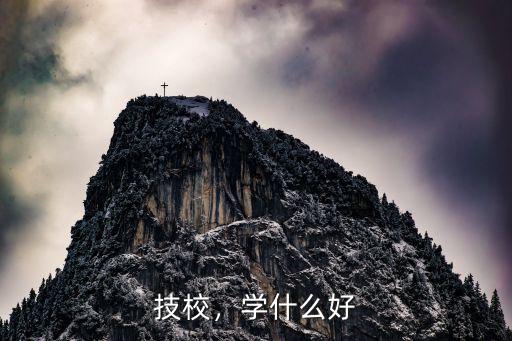 技校，学什么好