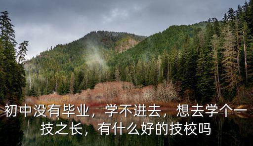 现在都有什么技术学校吗,有哪些技术学校推荐