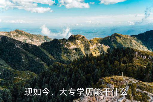 现如今，大专学历能干什么