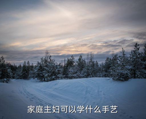 家庭主妇可以学什么手艺