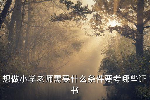想做小学老师需要什么条件要考哪些证书