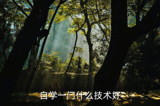 自学一门什么技术好