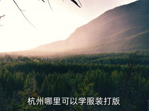杭州哪里有学服装打版设计,杭州哪里可以学服装打版