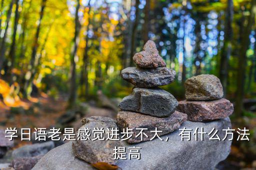 学日语老是感觉进步不大，有什么方法提高