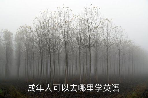 成年人可以去哪里学英语