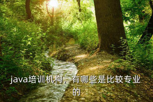java培训公司是什么意思,java培训机构