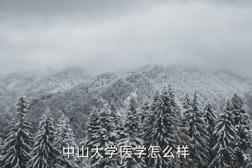 中山大学医学怎么样
