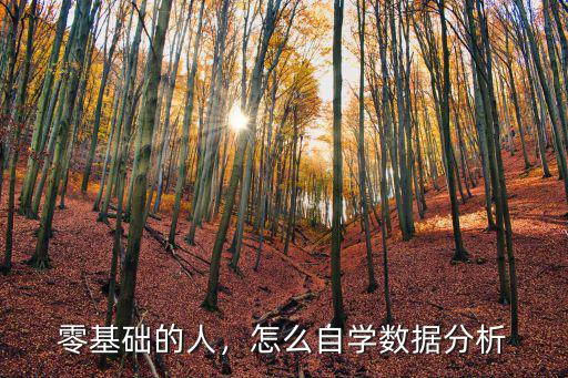 零基础的人，怎么自学数据分析