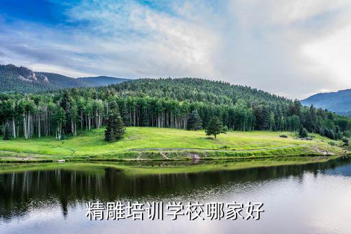 成都哪里有北京精雕制图培训,有谁会北京精雕的吗