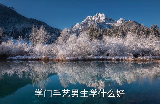 男生学什么较好,男生学什么手艺好