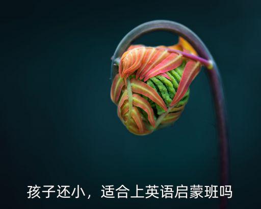孩子还小，适合上英语启蒙班吗
