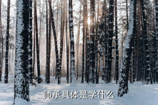 师承班是什么意思,什么是中医师承