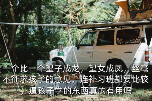 望子成龙学什么的,中国人望子成龙