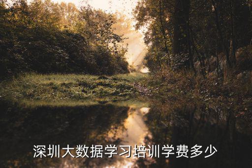 深圳大数据学习培训学费多少