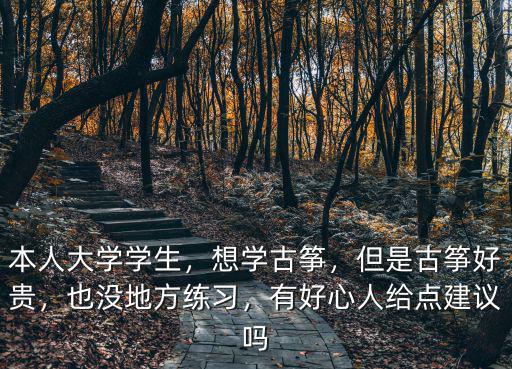 古筝哪里学,自学古筝难吗